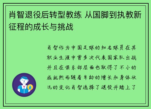 肖智退役后转型教练 从国脚到执教新征程的成长与挑战