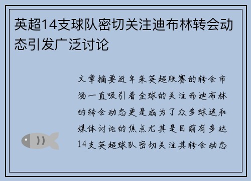 英超14支球队密切关注迪布林转会动态引发广泛讨论
