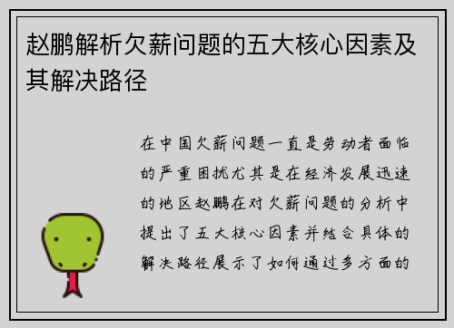 赵鹏解析欠薪问题的五大核心因素及其解决路径